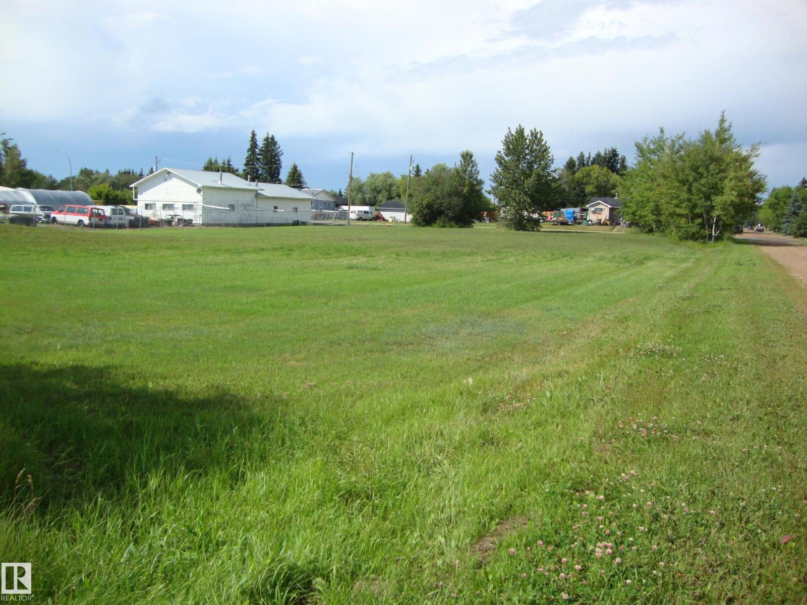 502 1 Av, Thorhild, Alberta  T0A 3J0 - Photo 3 - E4420858