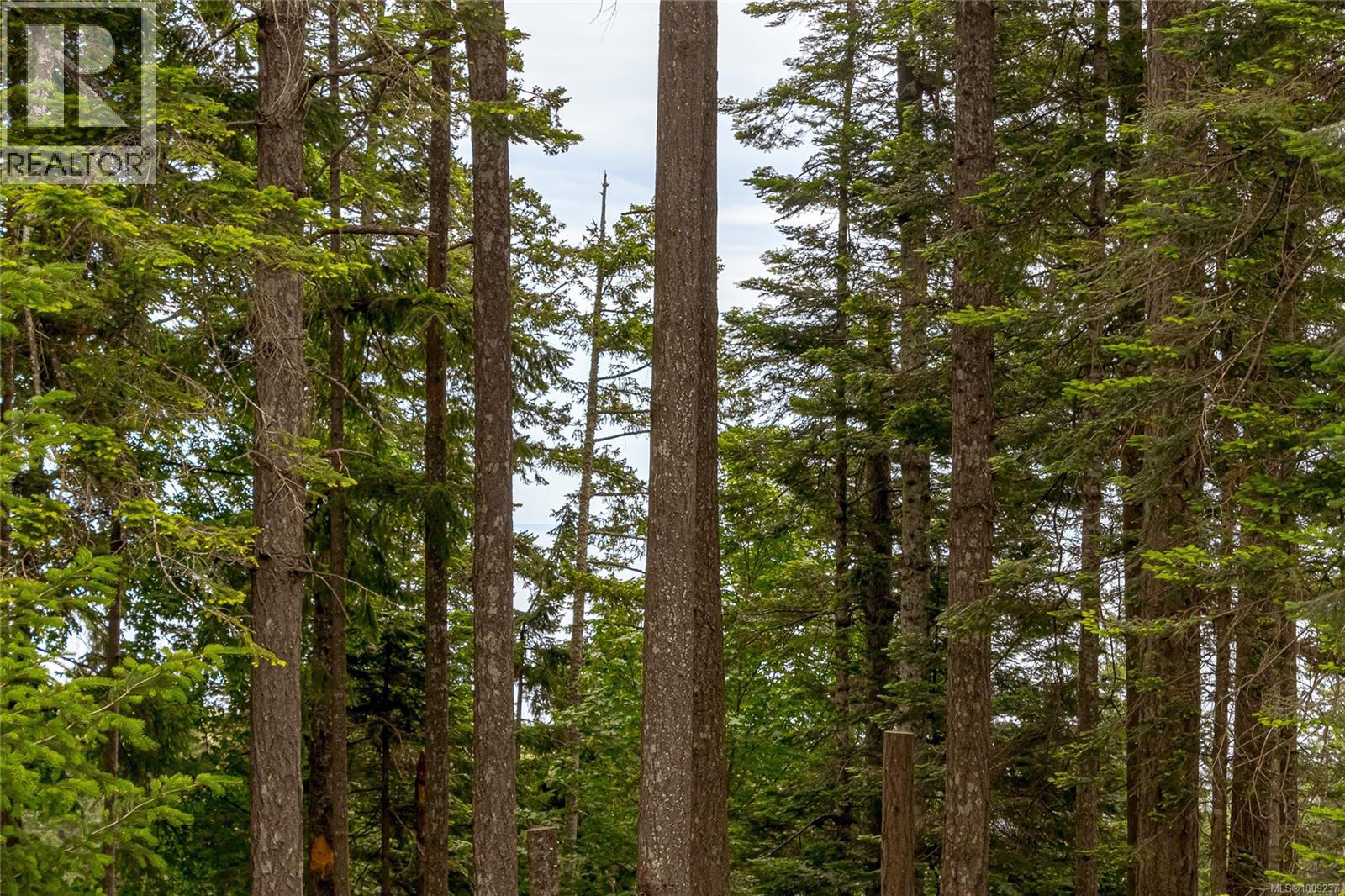 556 Delora Dr, Colwood, British Columbia  V9C 3R8 - Photo 28 - 1009237