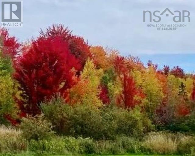 71 Gil Sutherland Road, Balmoral Mills, Nova Scotia  B0K 1V0 - Photo 37 - 202507051