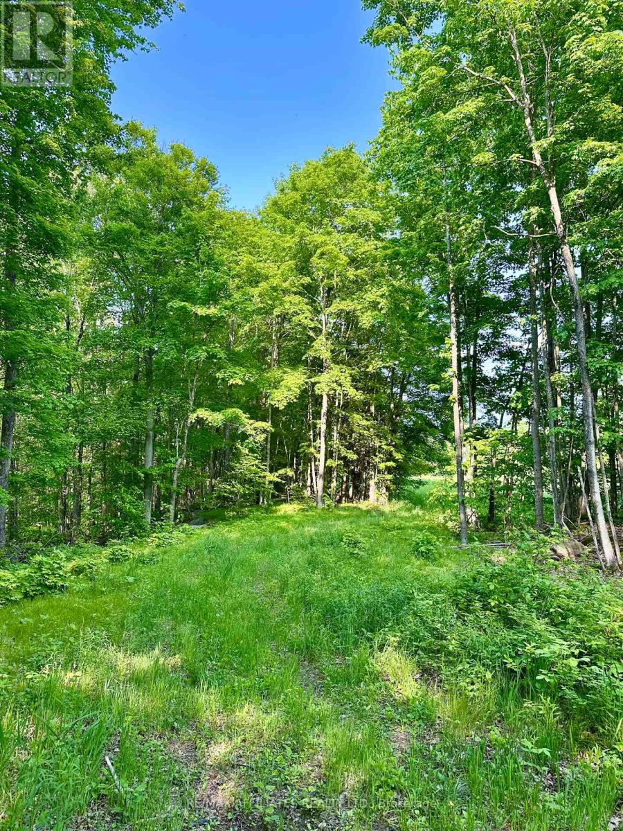 00 Long Lake Road, Frontenac, Ontario  K0H 2E0 - Photo 4 - X12330744