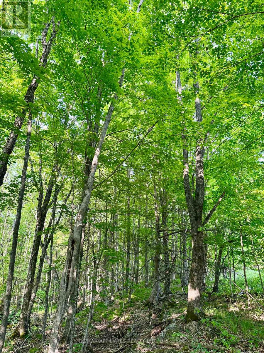 00 Long Lake Road, Frontenac, Ontario  K0H 2E0 - Photo 7 - X12330744