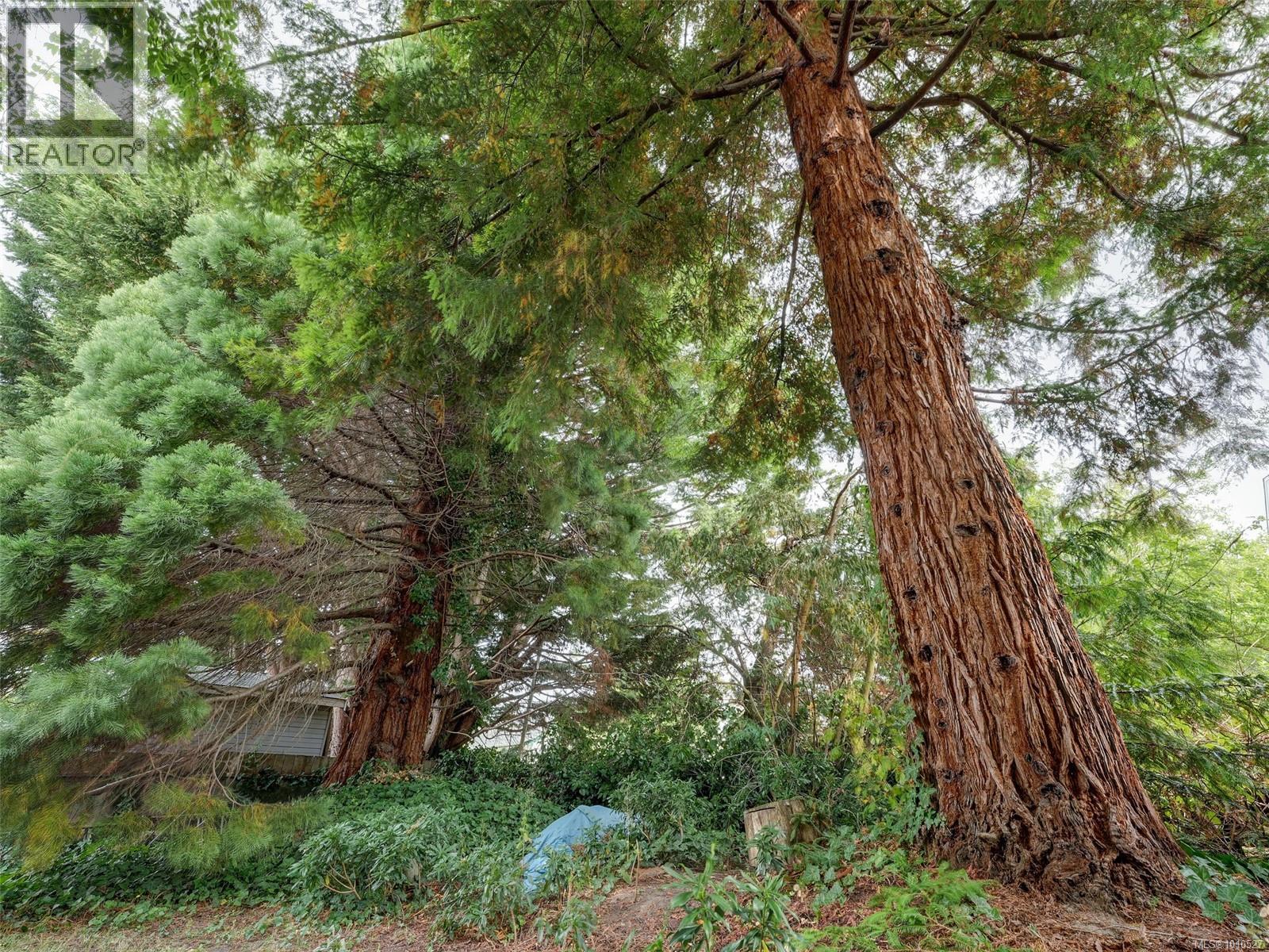 2561 Forbes St, Victoria, British Columbia V8R 4B9 - Photo 21 - 1010527