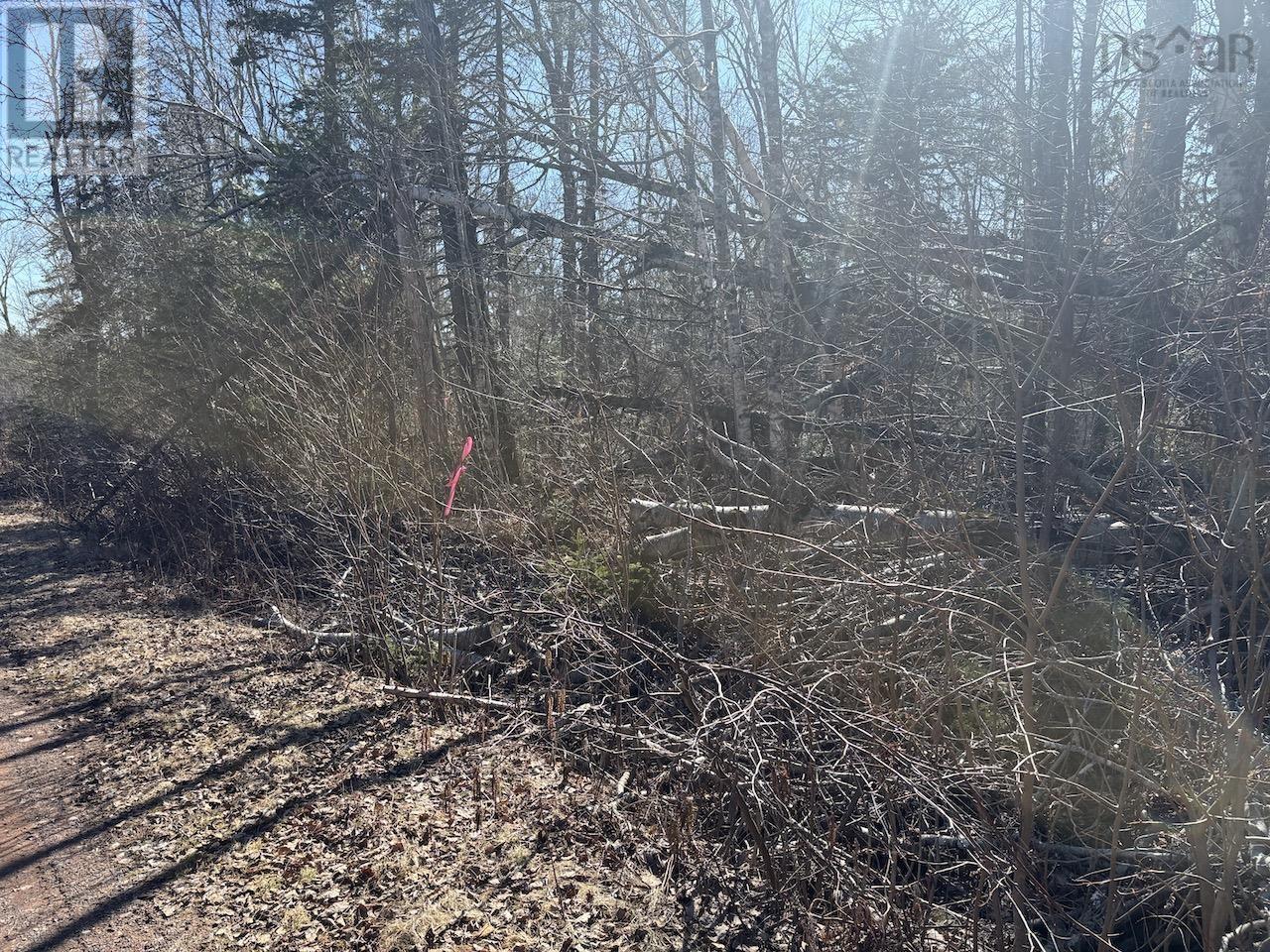 Black Lake, No 104 Highway, Black Lake, Nova Scotia  B0M 1X0 - Photo 3 - 202507659