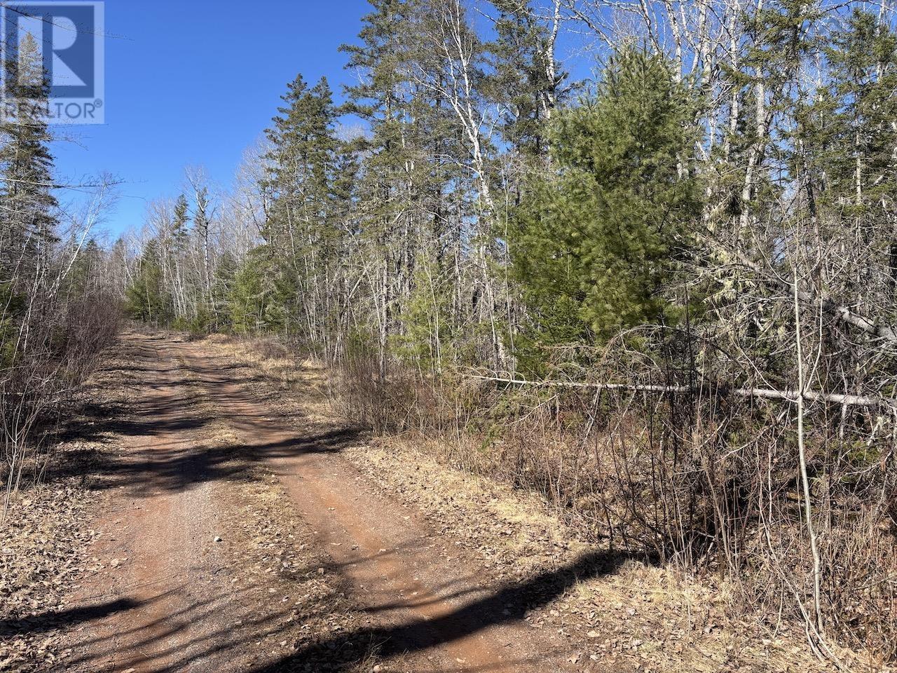 Black Lake, No 104 Highway, Black Lake, Nova Scotia  B0M 1X0 - Photo 6 - 202507659