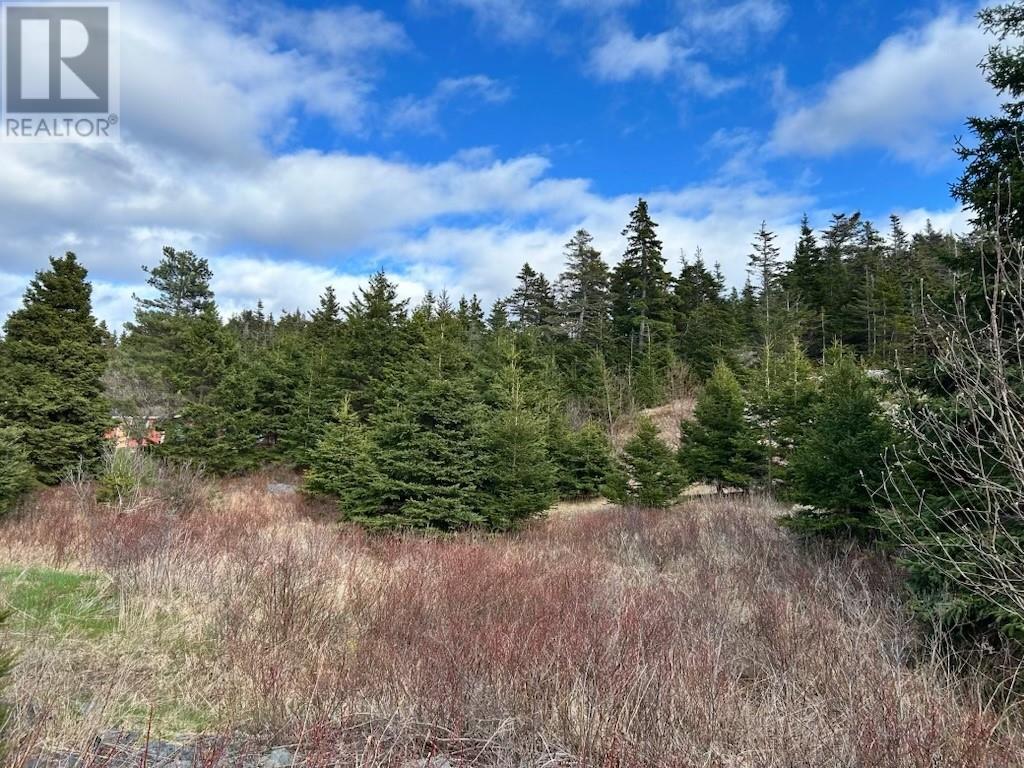 102 Harbour Drive, Colliers, Newfoundland & Labrador  A0A 1Y0 - Photo 3 - 1288795