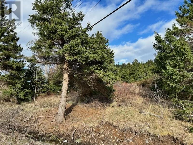 102 Harbour Drive, Colliers, Newfoundland & Labrador  A0A 1Y0 - Photo 4 - 1288795