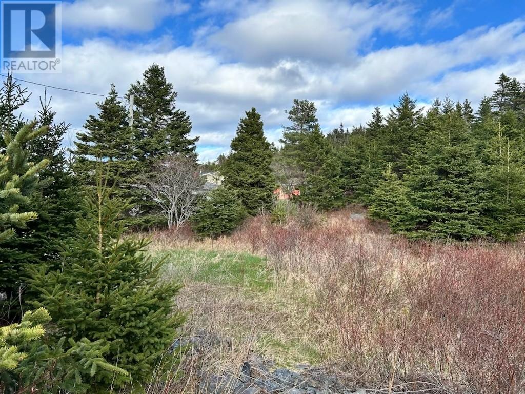 102 Harbour Drive, Colliers, Newfoundland & Labrador  A0A 1Y0 - Photo 5 - 1288795
