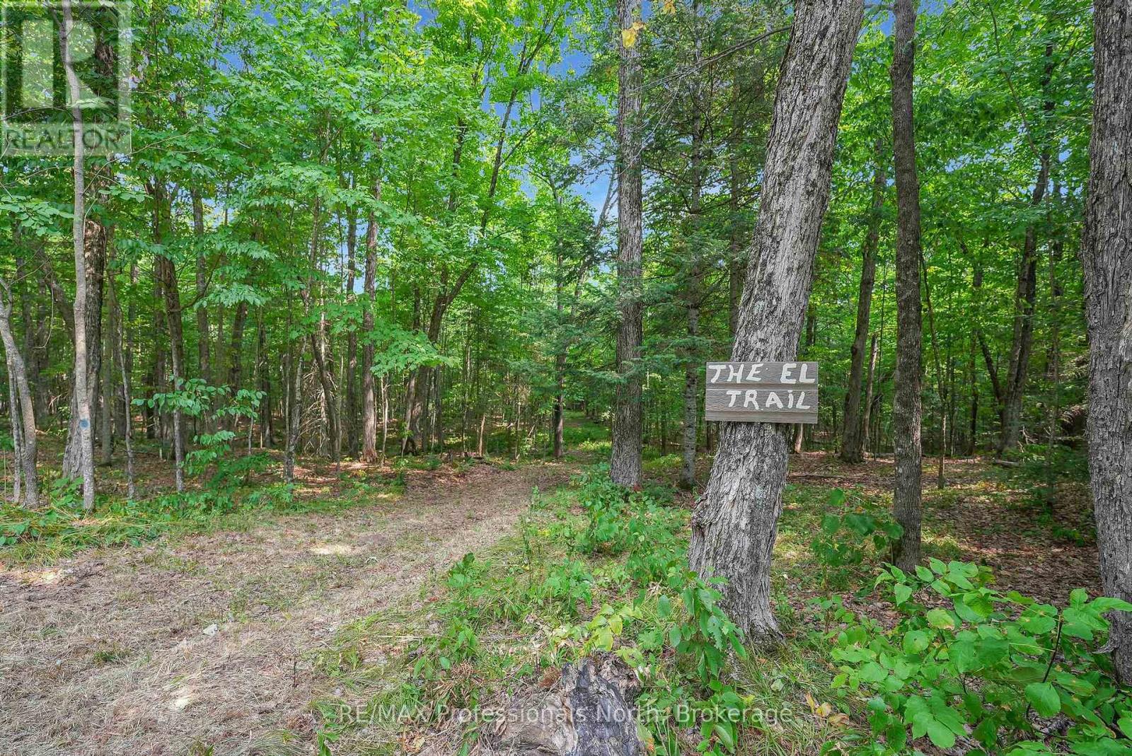 1453 Minnicock Lake Road, Dysart Et Al, Ontario  K0M 1S0 - Photo 39 - X12330913