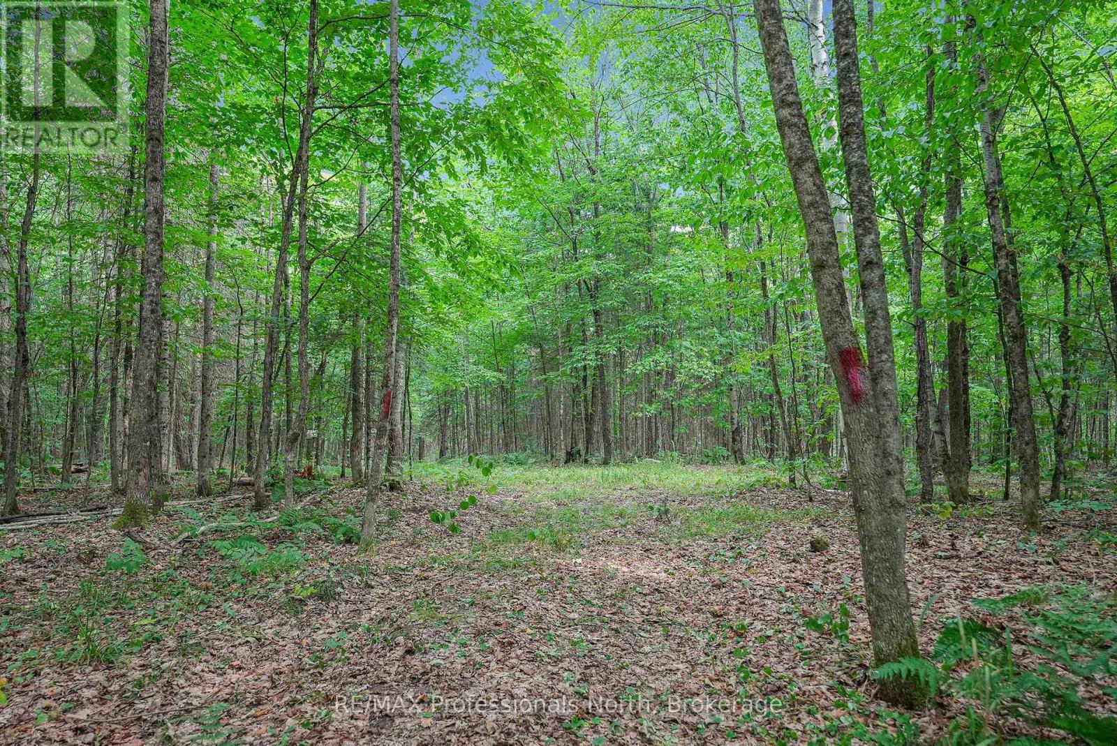 1453 Minnicock Lake Road, Dysart Et Al, Ontario  K0M 1S0 - Photo 41 - X12330913