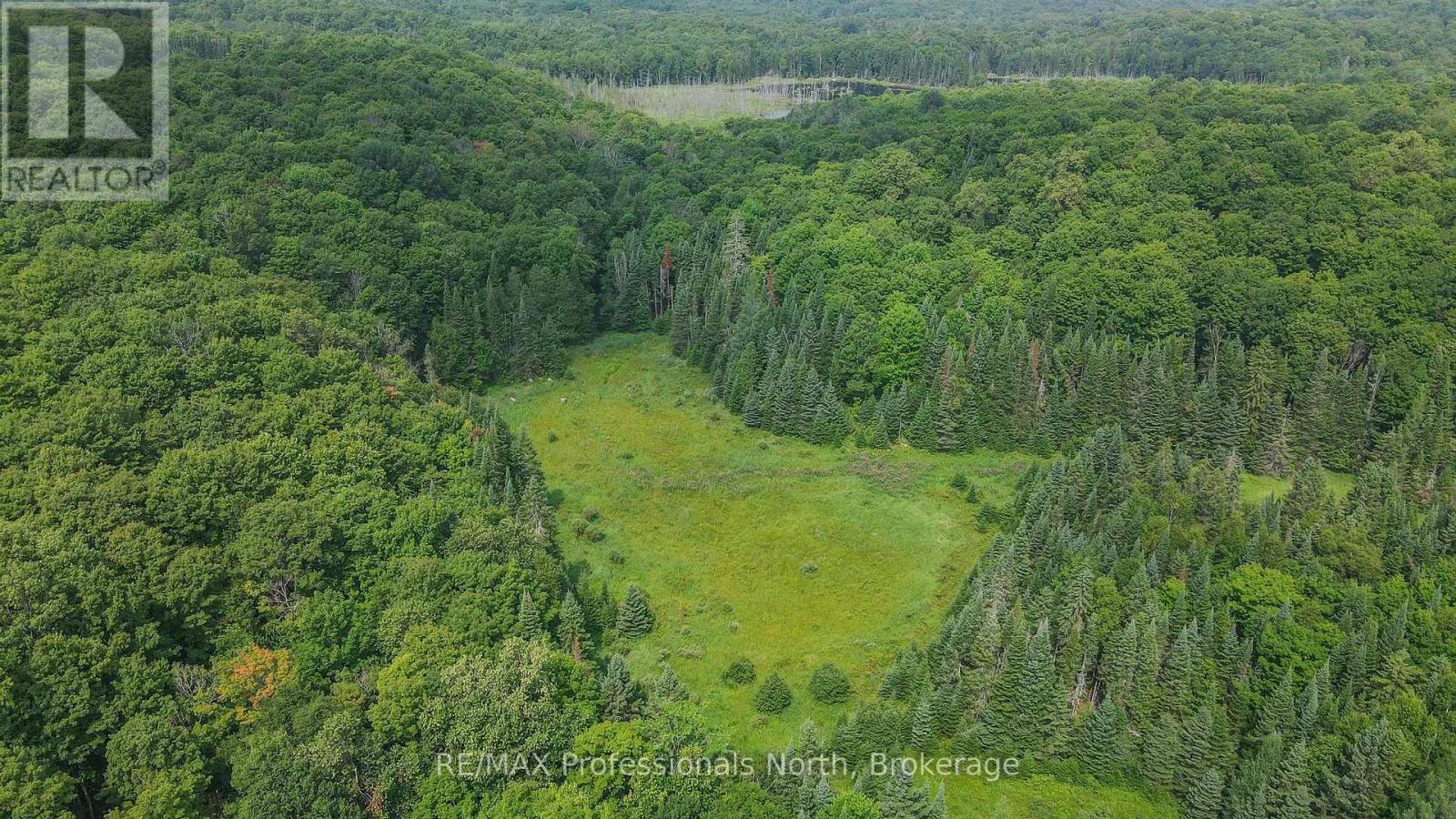 1453 Minnicock Lake Road, Dysart Et Al, Ontario  K0M 1S0 - Photo 44 - X12330913