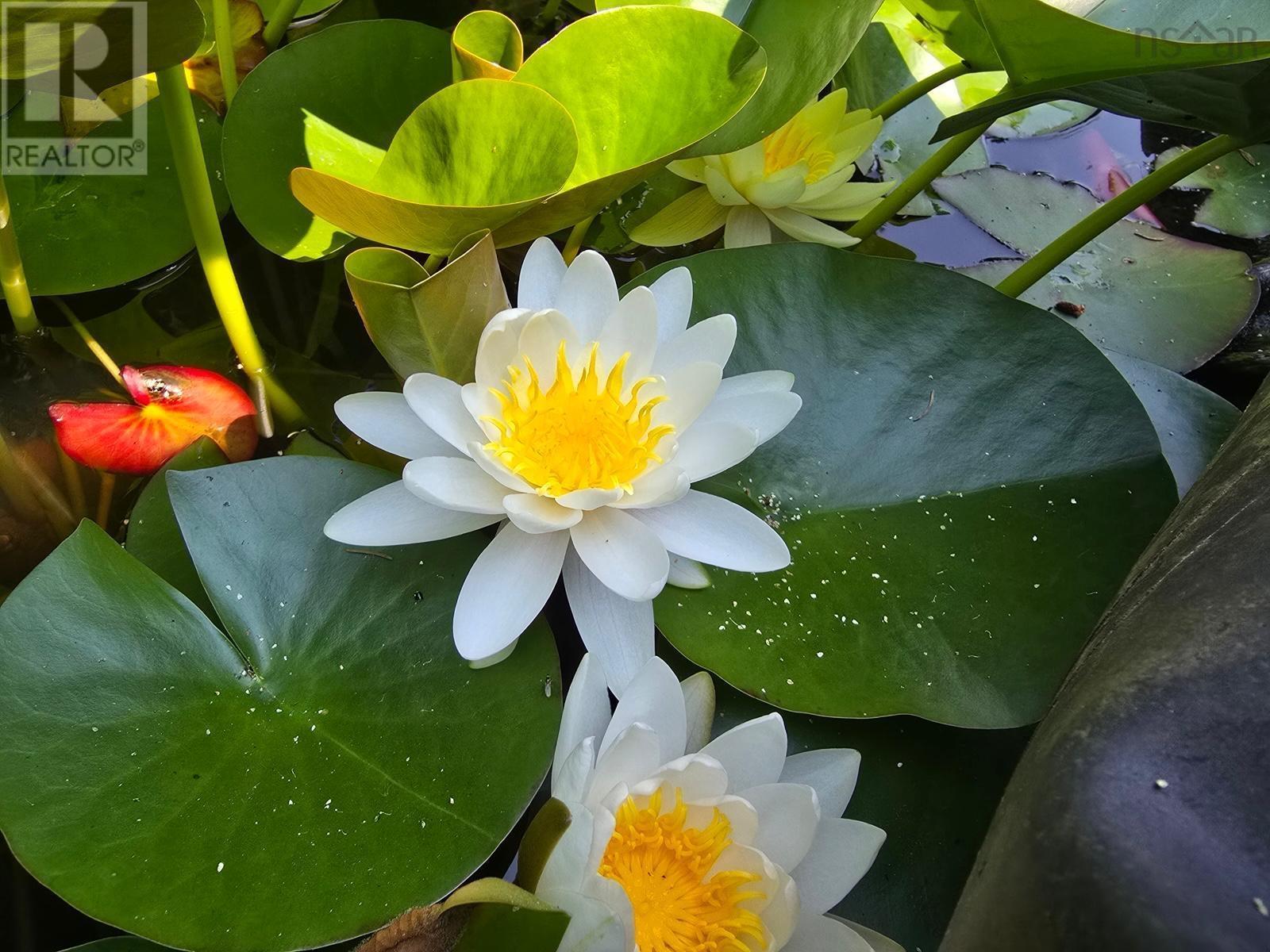 79 Irwin Hubley Road, Seabright, Nova Scotia  B3Z 2Z6 - Photo 27 - 202519466