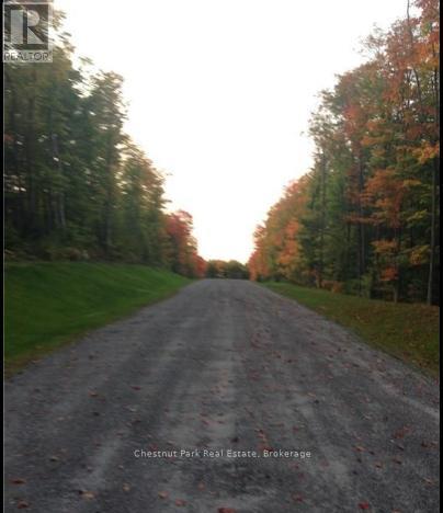 Lot 11 Millie's Way, Armour, Ontario  P0A 1C0 - Photo 6 - X12329297