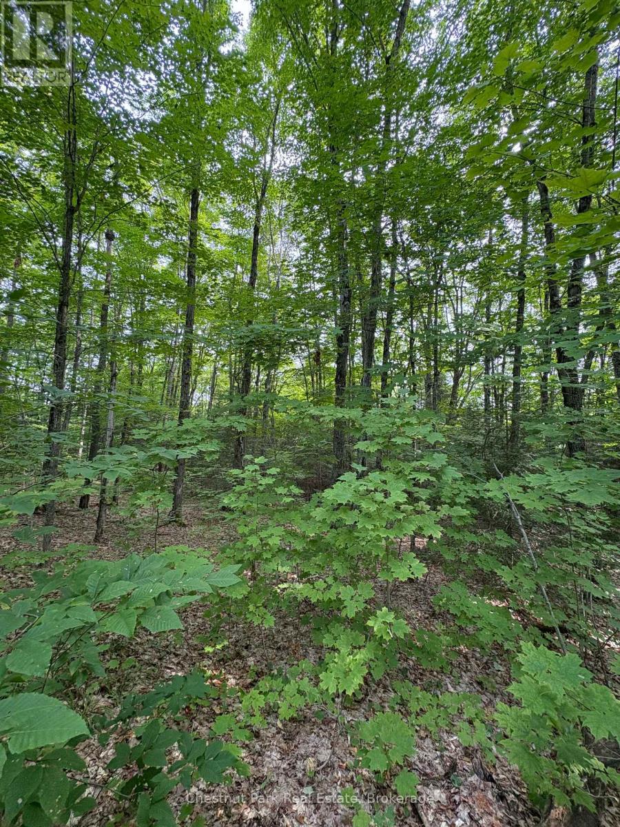 Lot 11 Millie's Way, Armour, Ontario  P0A 1C0 - Photo 2 - X12329297