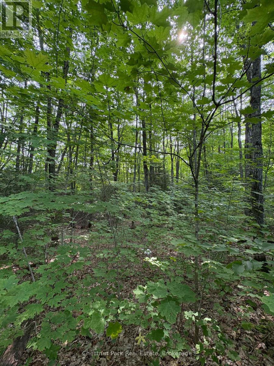 Lot 11 Millie's Way, Armour, Ontario  P0A 1C0 - Photo 8 - X12329297