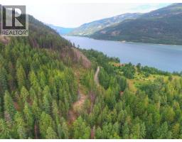 Needles North Road Lot# 1 Nakusp Rural