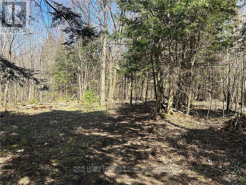 00 Old Mine Road, Admaston/bromley, Ontario  K0J 1K0 - Photo 3 - X12330974