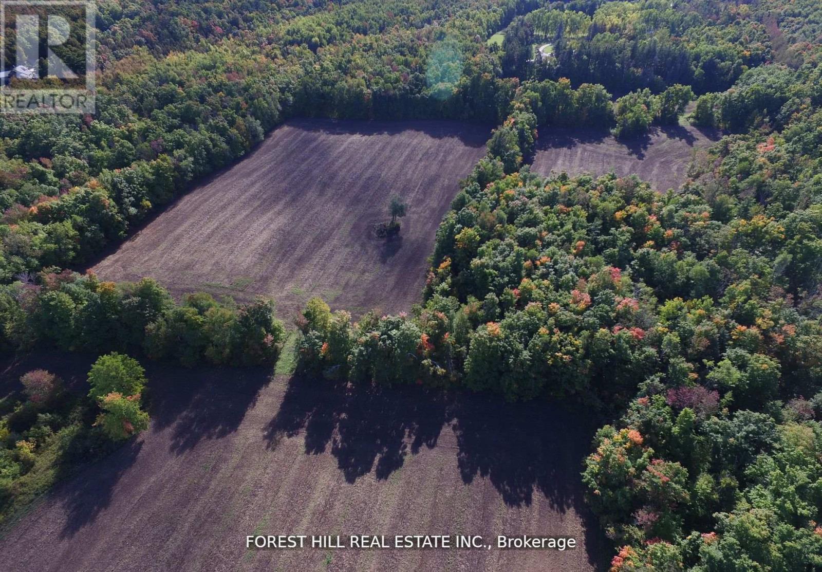 7406 17 Side Road, Halton Hills, Ontario  L7J 2M1 - Photo 10 - W12330877