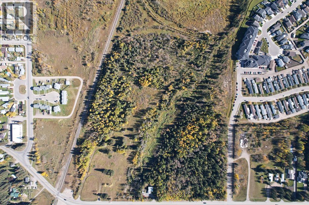 4911 62 Street, Rocky Mountain House, Alberta  T4T 1G1 - Photo 2 - A2010052