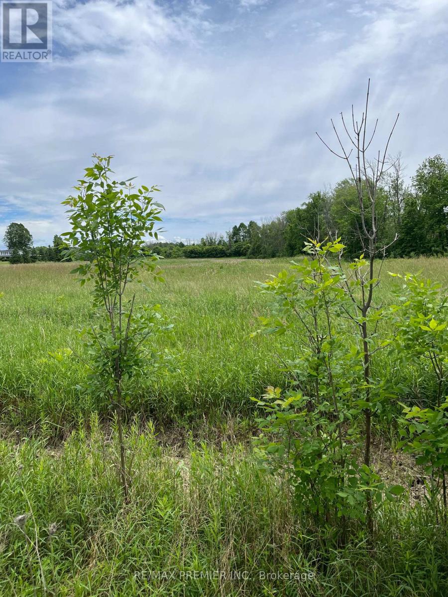 N/a Highway 48, Georgina, Ontario  L0E 1N0 - Photo 3 - N12329288