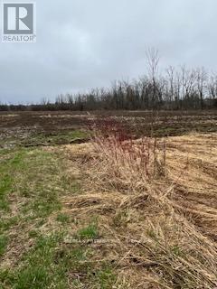 N/a Highway 48, Georgina, Ontario  L0E 1N0 - Photo 6 - N12329288