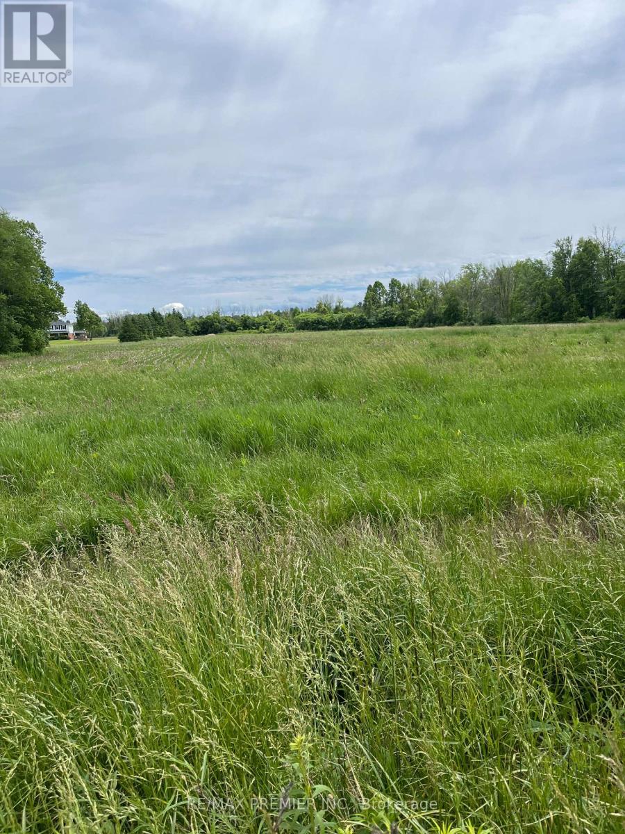 N/a Highway 48, Georgina, Ontario  L0E 1N0 - Photo 2 - N12329288