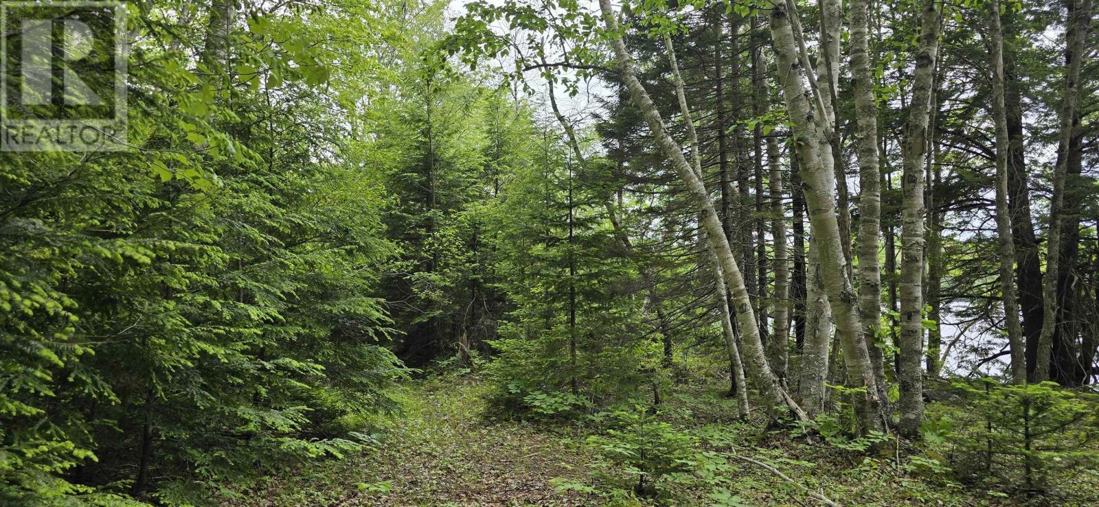 Lot Nathan Croft Road, Camperdown, Nova Scotia  B4V 6T9 - Photo 21 - 202514609