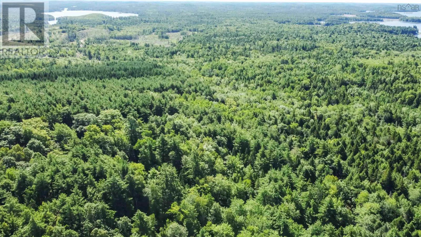 1272 Rosette Road, Albany New, Nova Scotia  B0T 1B0 - Photo 23 - 202507279