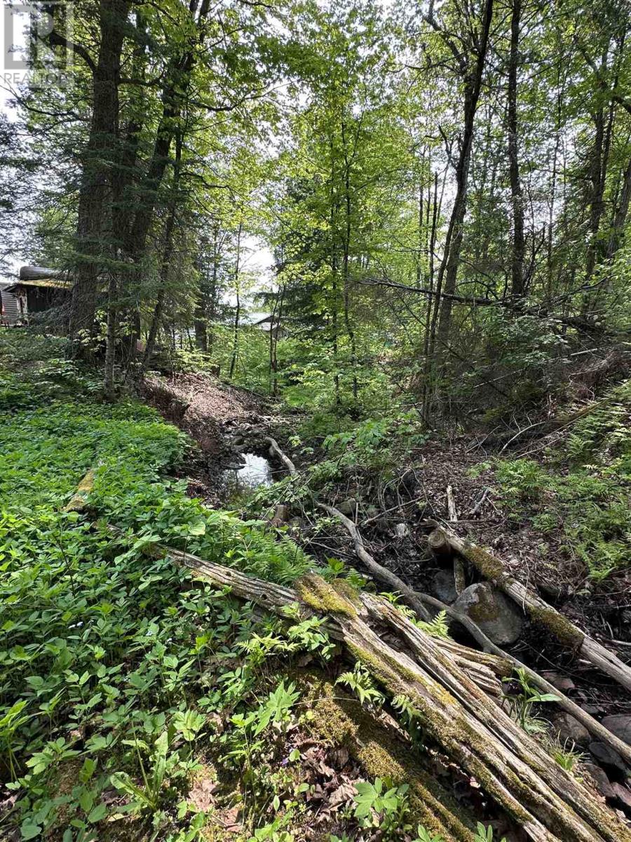 1943 V Lin, Richards Landing, Ontario  P0R 1J0 - Photo 5 - SM251529