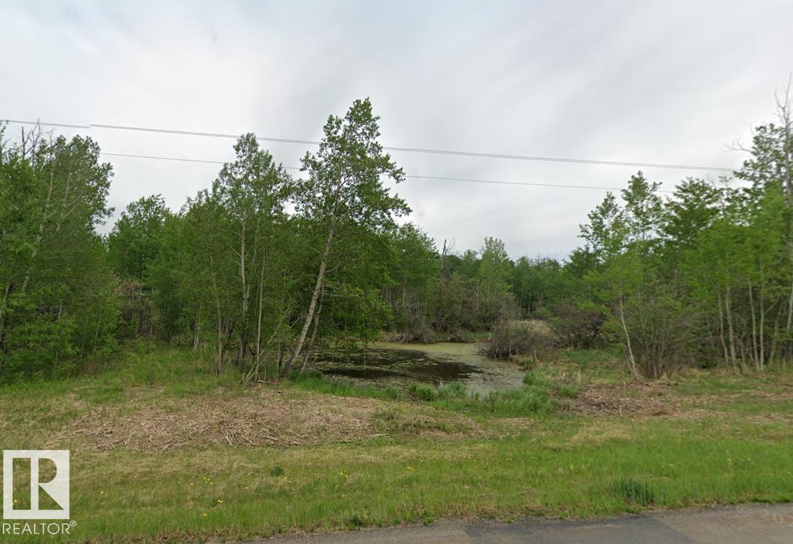 51123 Rge Road 222, Rural Strathcona County, Alberta  T8C 1G9 - Photo 5 - E4448120