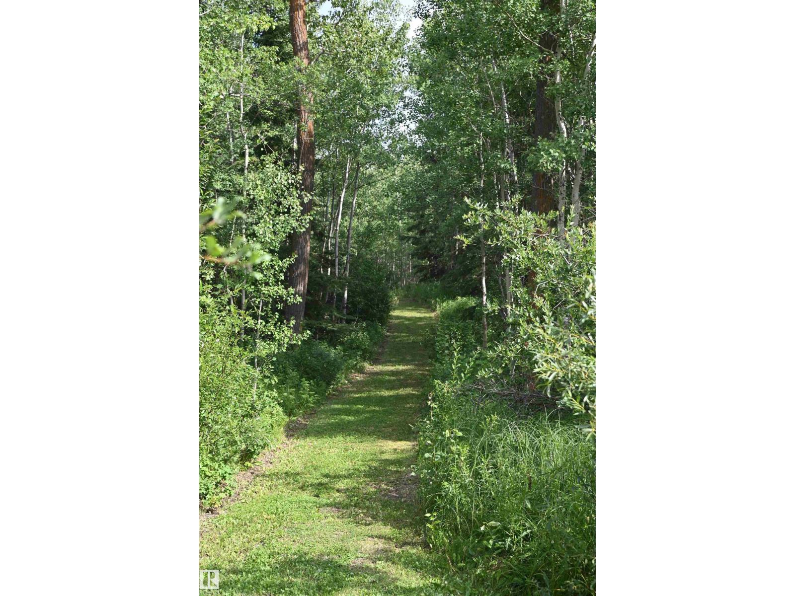 51123 Rge Road 222, Rural Strathcona County, Alberta  T8C 1G9 - Photo 11 - E4448120