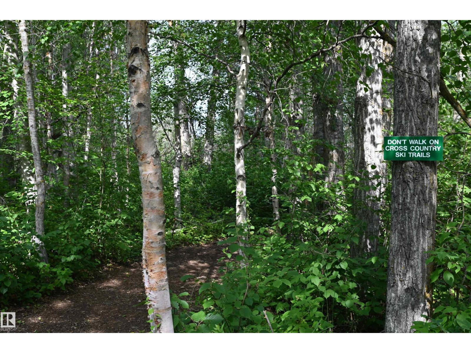 51123 Rge Road 222, Rural Strathcona County, Alberta  T8C 1G9 - Photo 16 - E4448120