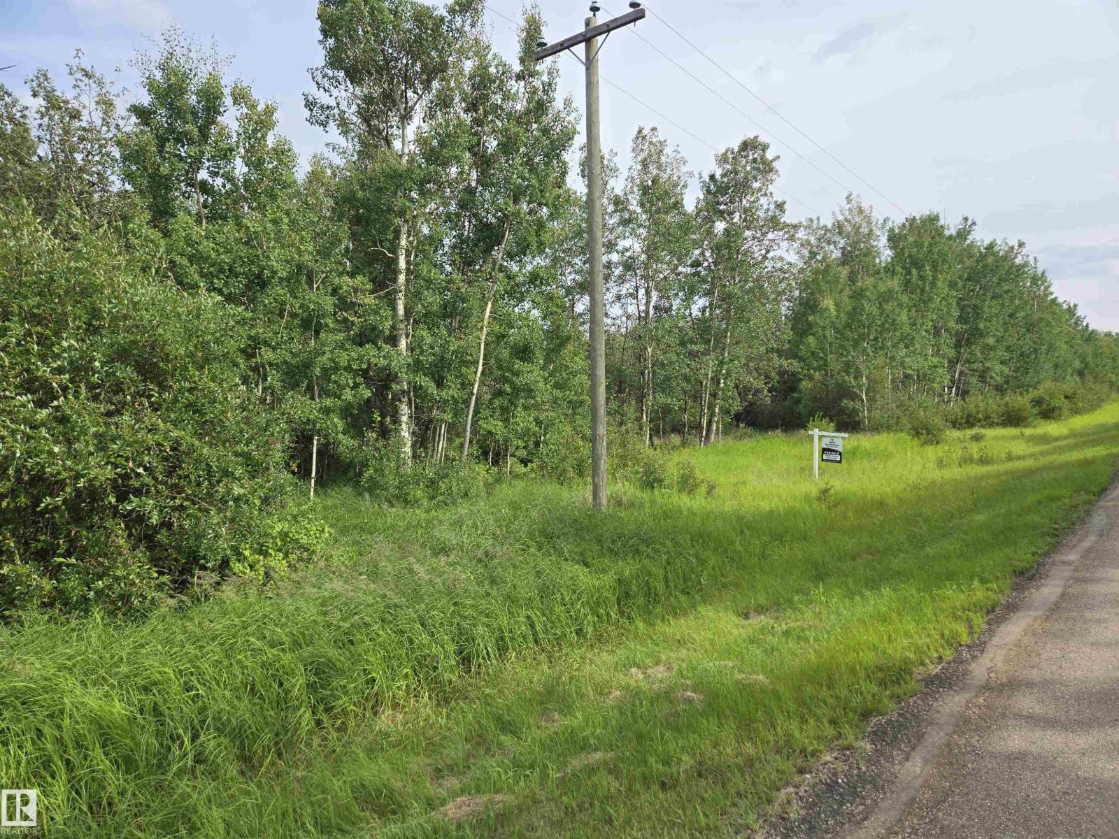 51123 Rge Road 222, Rural Strathcona County, Alberta  T8C 1G9 - Photo 3 - E4448120