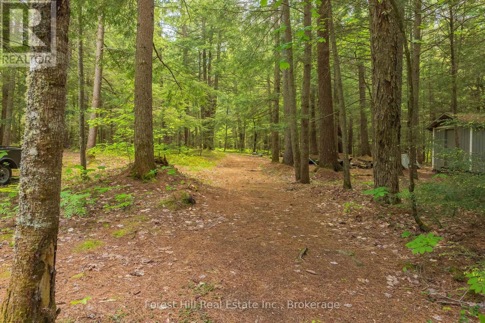 1274 Shoe Lake Road, Lake Of Bays, Ontario  P0A 1E0 - Photo 48 - X12331528