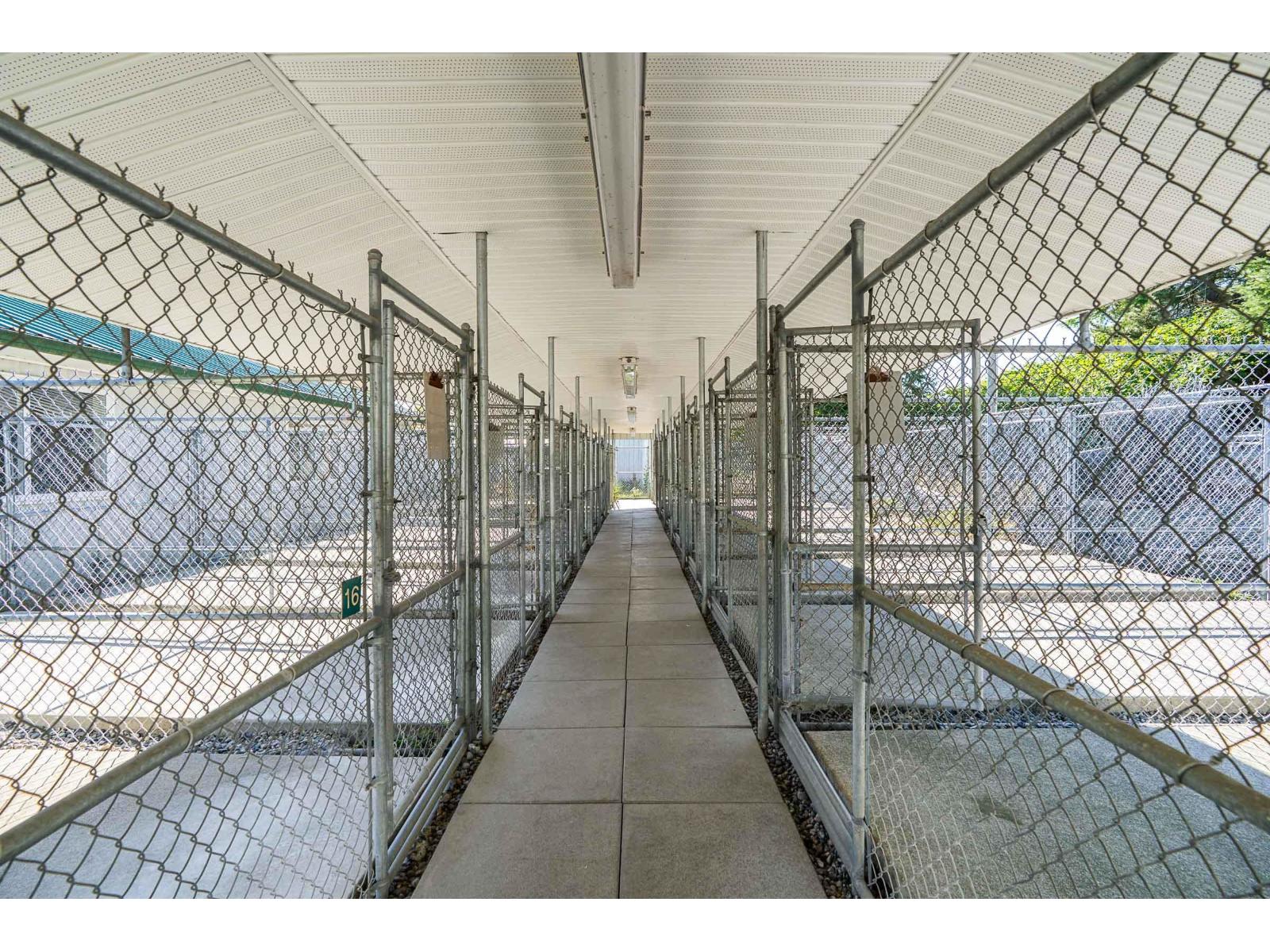 24862 16 Avenue, Langley, British Columbia  V4W 2R6 - Photo 25 - C8071198