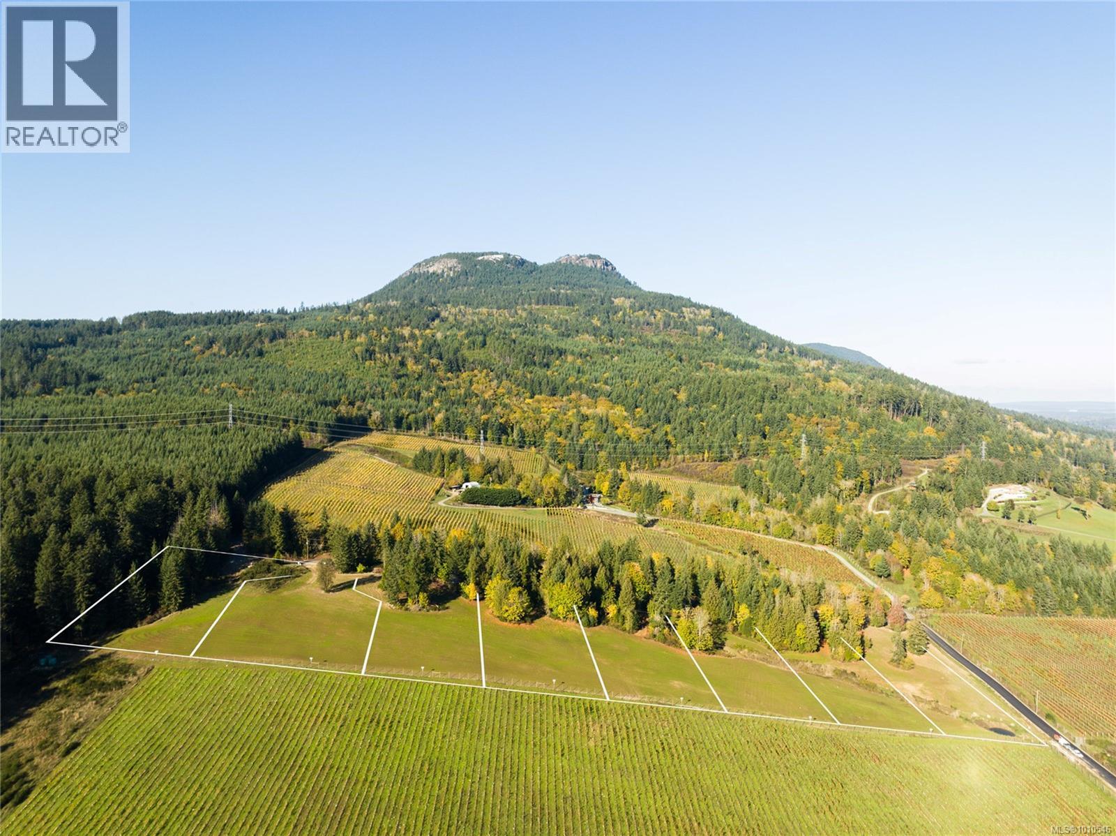 Sl 7 Pinot Pl, Duncan, British Columbia  V9L 6K9 - Photo 11 - 1010546