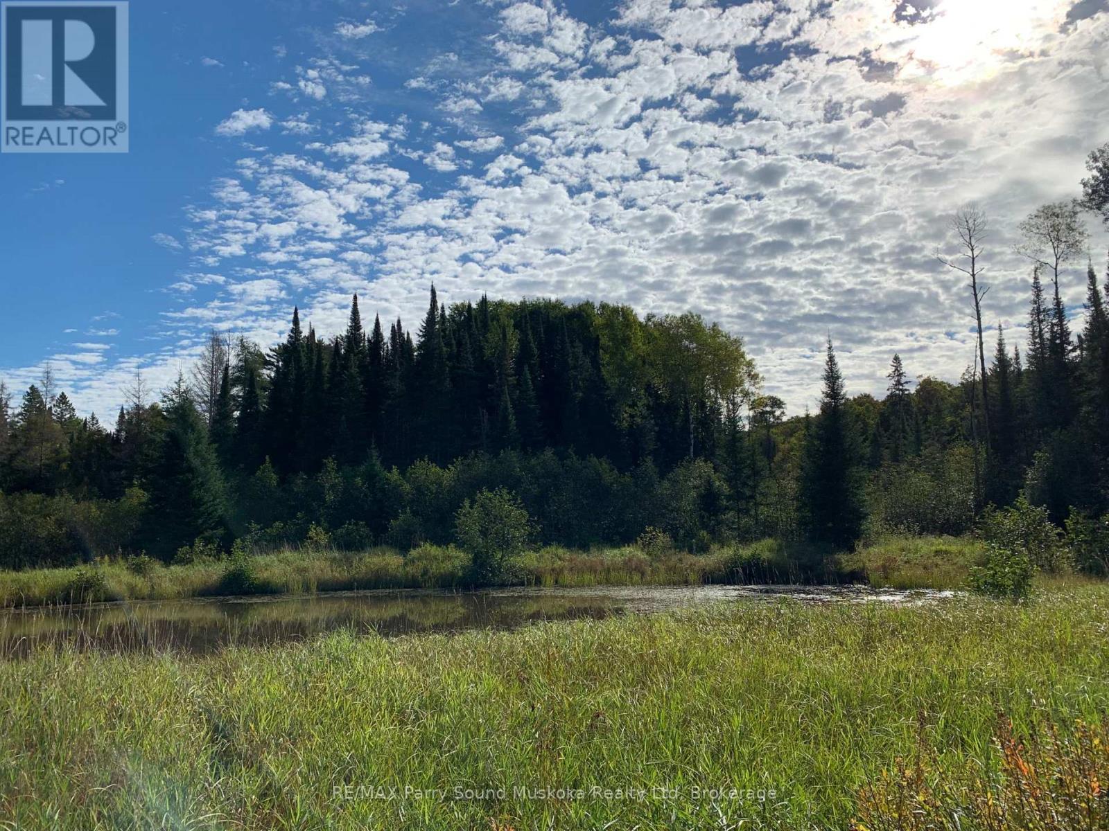 556 Highway 518 W, Perry, Ontario  P0A 1J0 - Photo 17 - X12331565