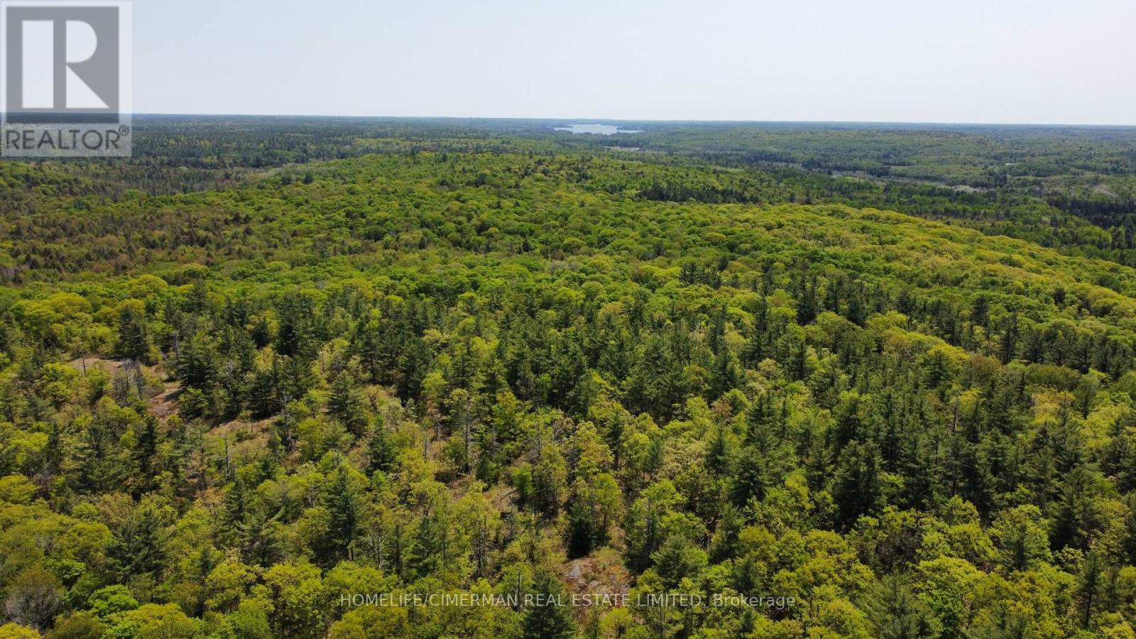 66 Mccauley Road, Seguin, Ontario  P0C 1J0 - Photo 22 - X11975516