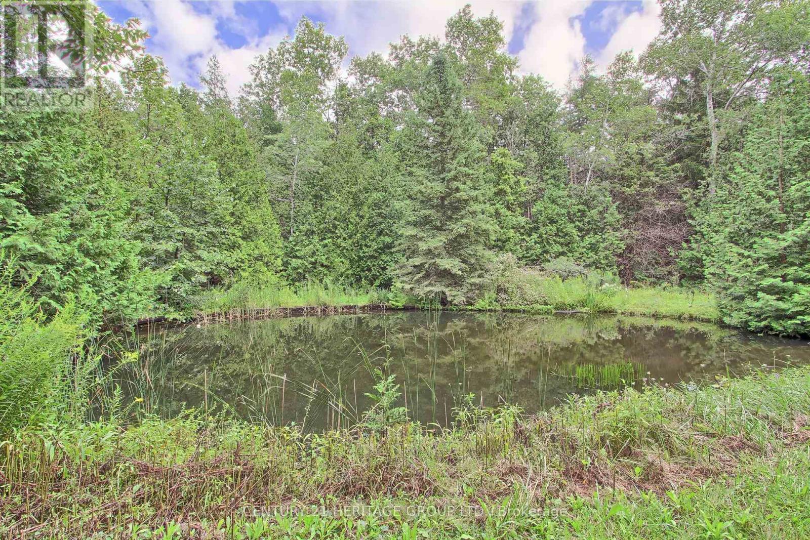 7670 19th Side Road, King, Ontario  L0G 1T0 - Photo 23 - N12331738