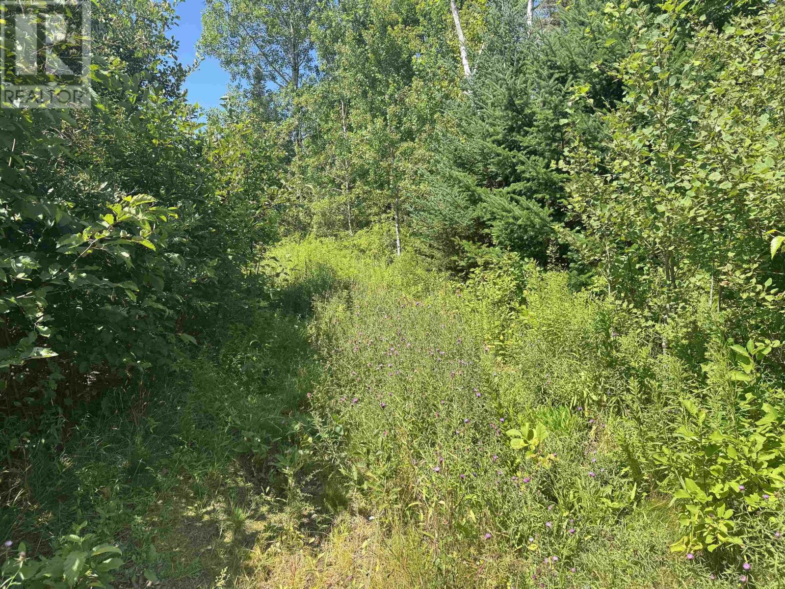 Lot 1 Aylesford, Aylesford, Nova Scotia  B0P 1C0 - Photo 3 - 202518968