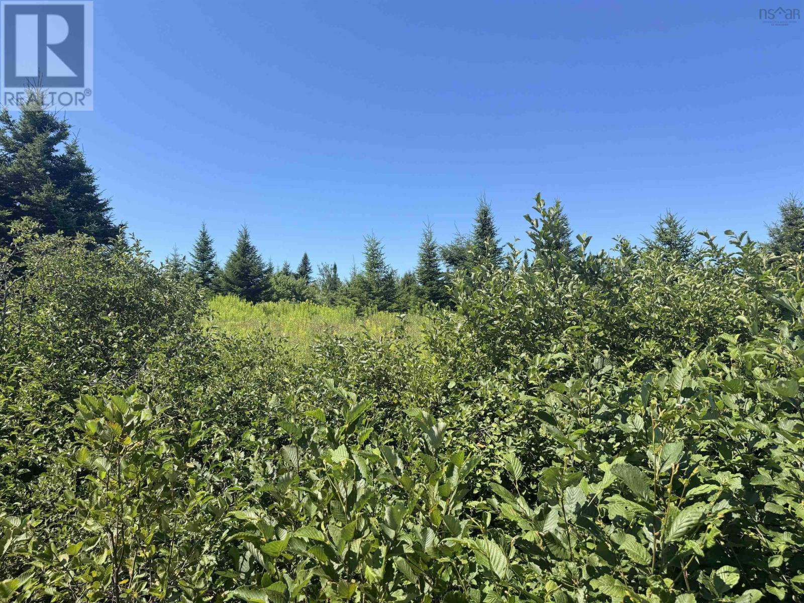 Lot 1 Aylesford, Aylesford, Nova Scotia  B0P 1C0 - Photo 2 - 202518968