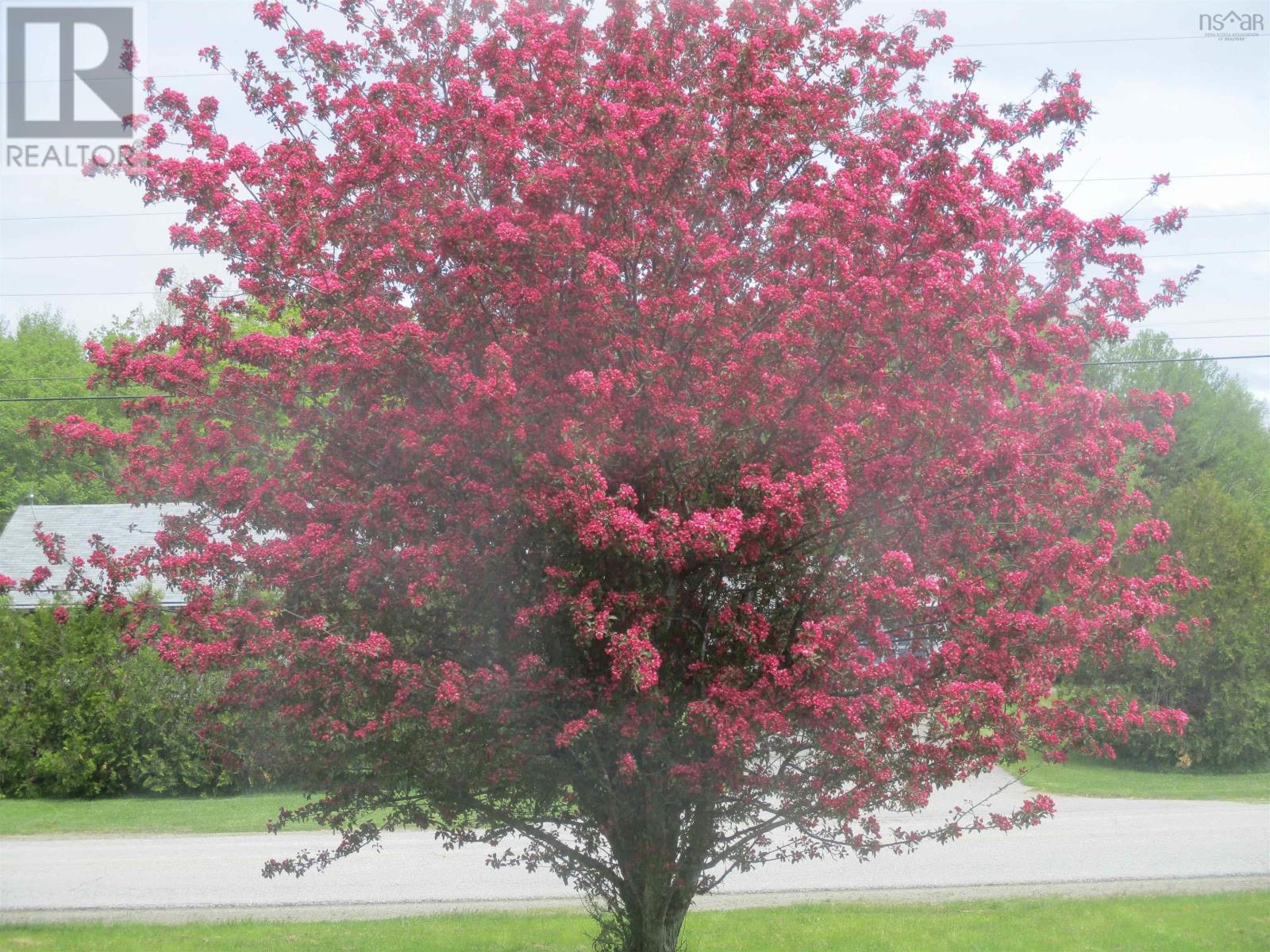 2282 Patrice Road Road, Concession, Nova Scotia  B0W 1M0 - Photo 37 - 202519125