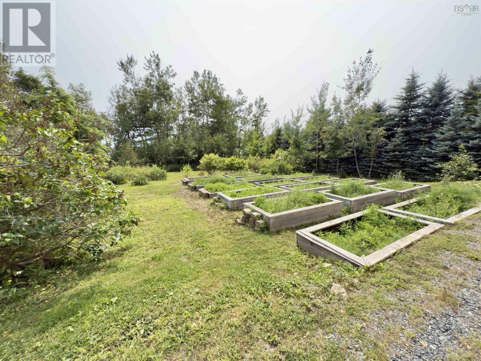 2594 376 Highway, Lyons Brook, Nova Scotia  B0K 1H0 - Photo 2 - 202508539