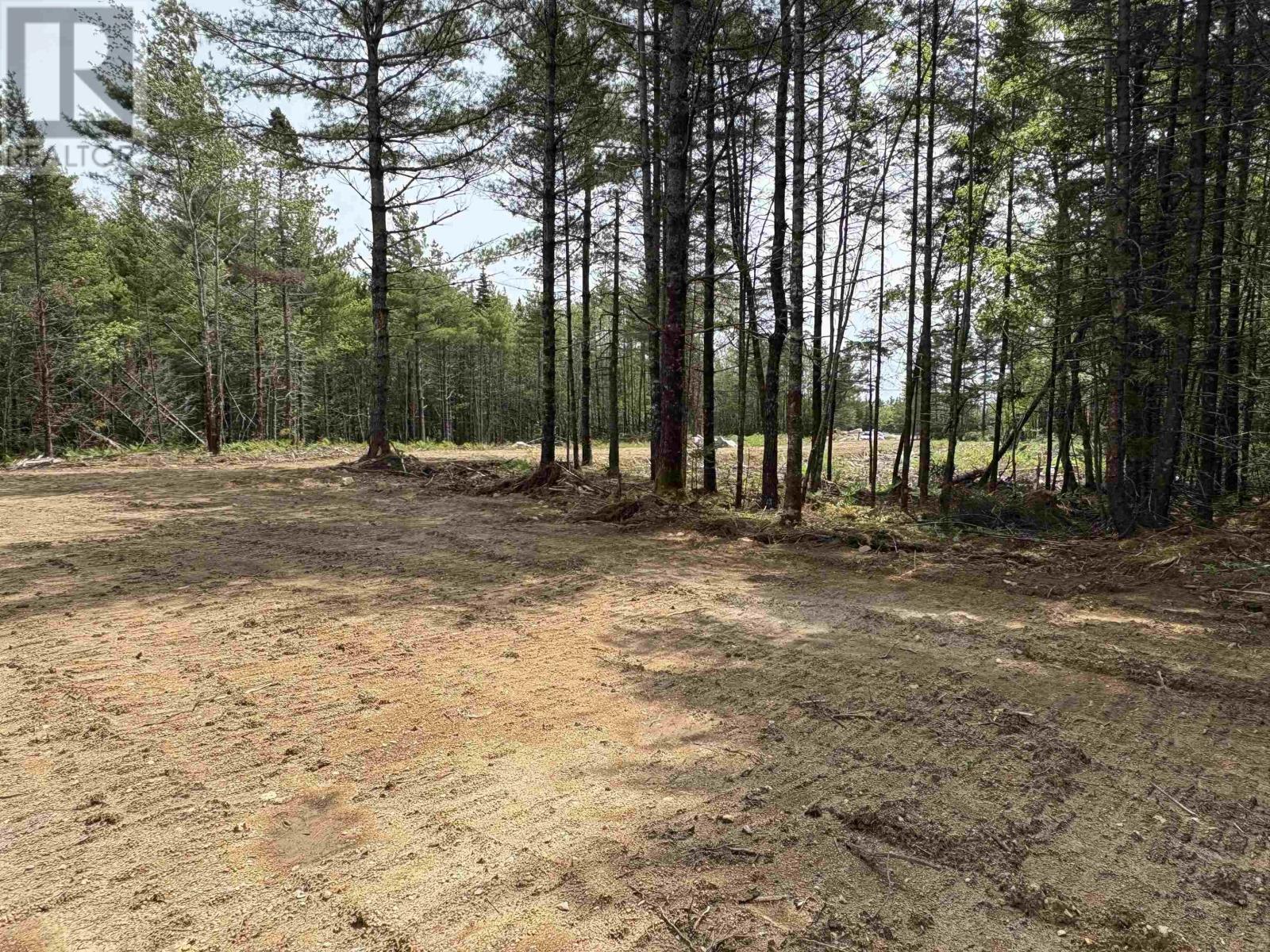 310 Welshtown Road, Welshtown, Nova Scotia  B0T 1W0 - Photo 5 - 202513382