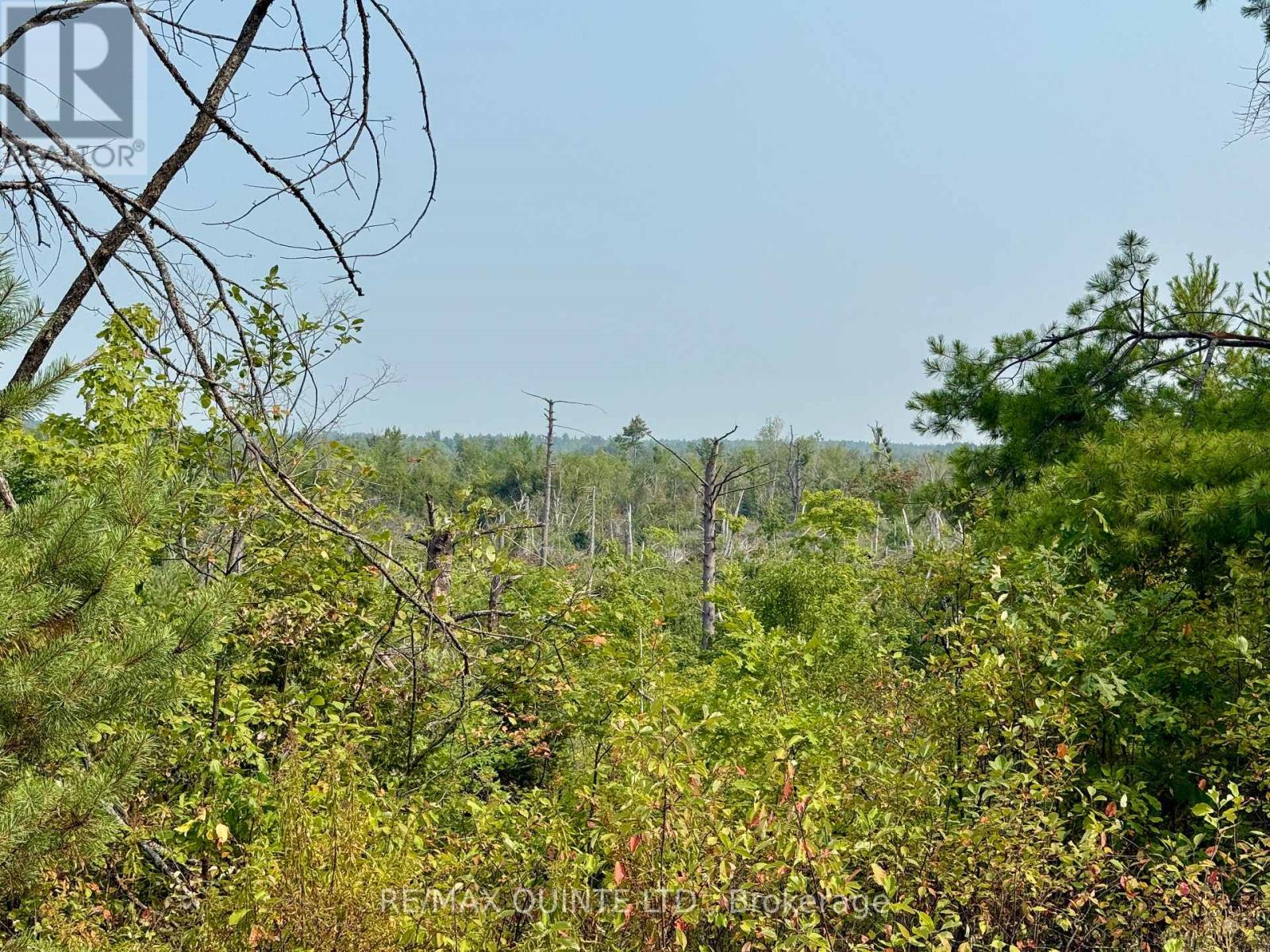 0 Potter Settlement Road, Tweed, Ontario  K0K 3J0 - Photo 2 - X12332132