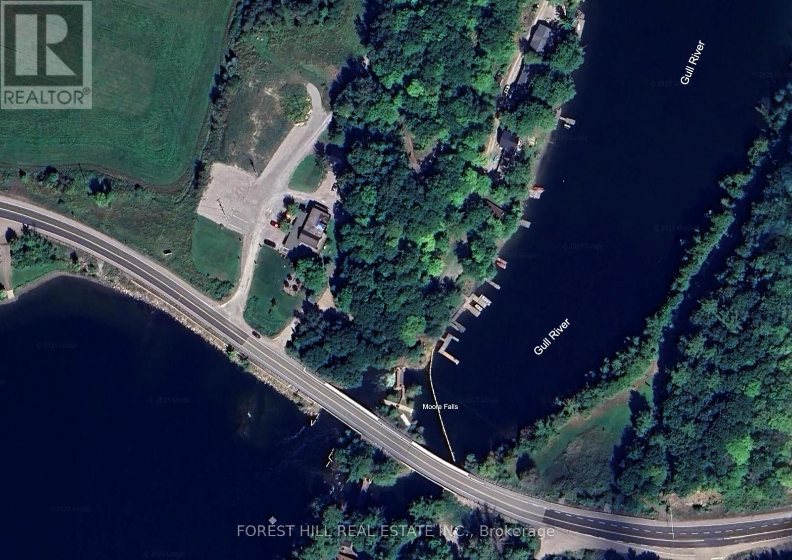 1014 Lois Lane, Minden Hills, Ontario  K0M 2L1 - Photo 8 - X12293106