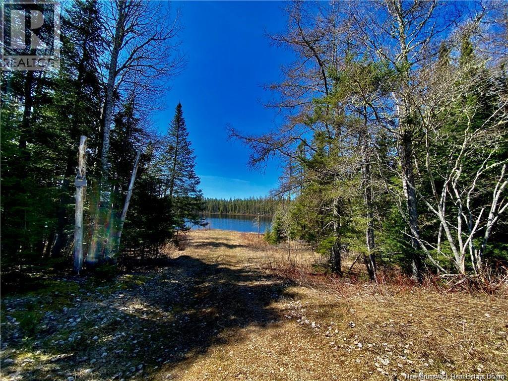 0 Goodine Cross Road, Sisson Ridge, New Brunswick  E7G 1S4 - Photo 10 - NB123418