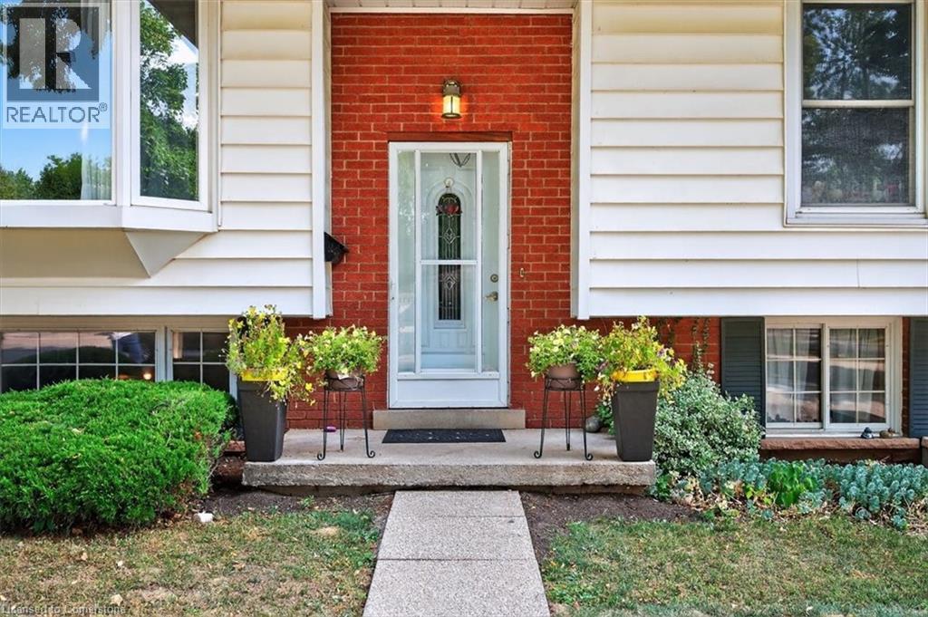 Property at 639 BLUE FOREST Hill image 3