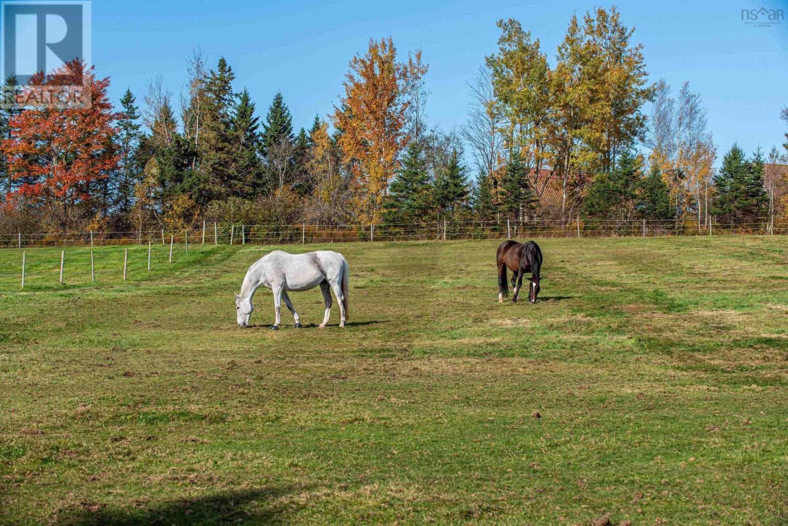 13155 Highway 215, Rines Creek, Nova Scotia  B0N 2H0 - Photo 5 - 202424951
