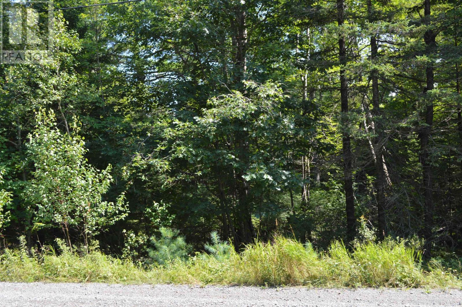 Lot 24-1 Mckeen Road, Watford, Nova Scotia  B0R 1E0 - Photo 32 - 202502421