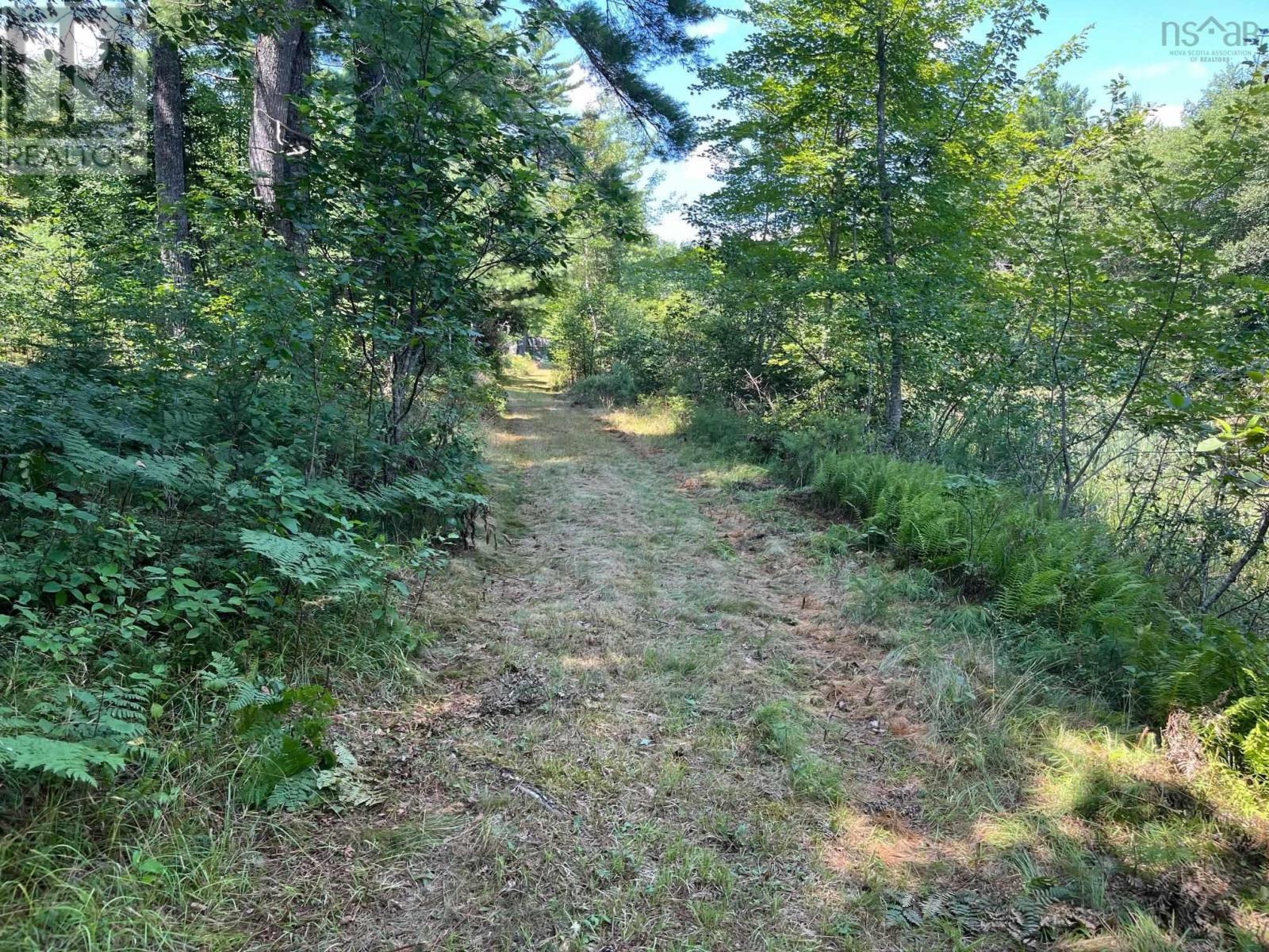Lot 24-1 Mckeen Road, Watford, Nova Scotia  B0R 1E0 - Photo 24 - 202502421